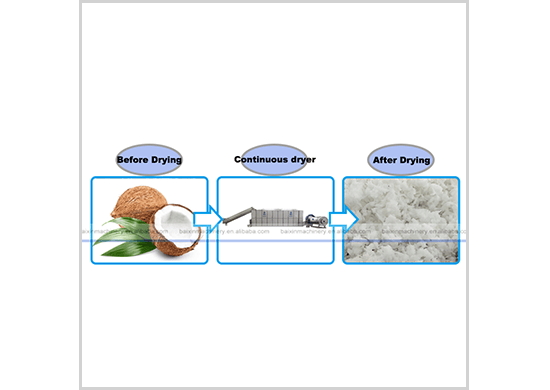 Desiccated coconut dryer/drying machine